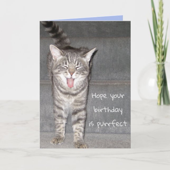 Tarjeta Funny Cat Yawning Cumpleaños (Anverso)