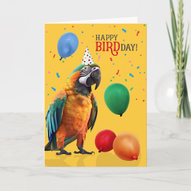 Tarjeta Funny Catalina or Rainbow Macaw Parrot Birthday (Anverso)