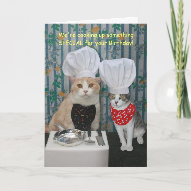 Tarjeta Funny Chef Cats Cumpleaños (Anverso)