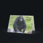 Tarjeta Funny Chimpanzee Birthday, ¿quieres mona por ahí?<br><div class="desc">Funny Chimpanzee Birthday,  ¿quieres mona por ahí?</div>