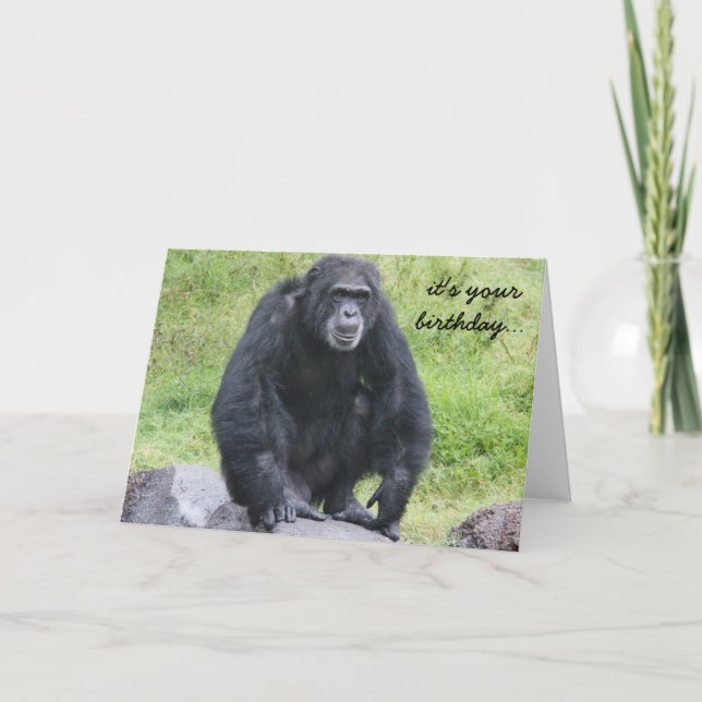 Tarjeta Funny Chimpanzee Birthday, ¿quieres mona por ahí? (Anverso)