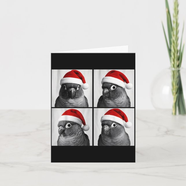 Tarjeta Funny Christmas Green Cheek Conure Santa Photo Boo (Anverso)