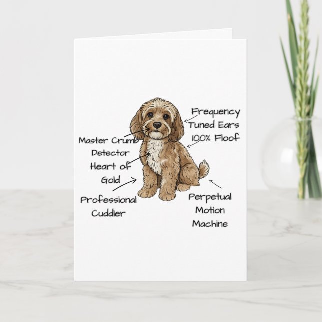 Tarjeta Funny Cockapoo Anatomy Greeting Card (Anverso)