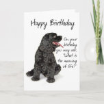 Tarjeta Funny Cocker Spaniel Birthday Card<br><div class="desc">Esta graciosa tarjeta de cumpleaños no es sólo para los amantes de Cocker Spaniel.</div>