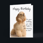 Tarjeta Funny Cocker Spaniel Birthday Card<br><div class="desc">Esta graciosa tarjeta de cumpleaños no es sólo para los amantes de Cocker Spaniel.</div>