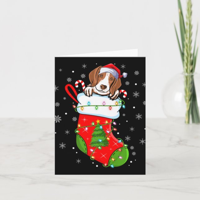 Tarjeta Funny Coonhound Dog In Christmas Socks Lights Xmas (Anverso)