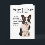Tarjeta Funny Corgi Birthday Card<br><div class="desc">Esta graciosa tarjeta de cumpleaños de Cardigan Welsh Corgi no es sólo para los amantes de Corgi.</div>