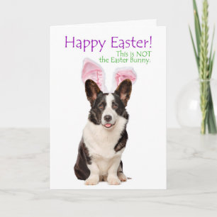 Tarjeta Funny Corgi Easter Card