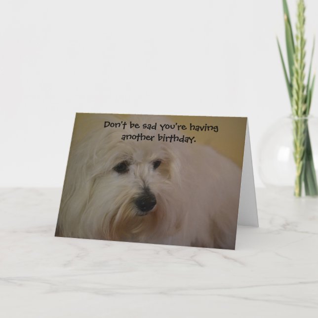 Tarjeta Funny Coton Doggie Years Birday Card (Anverso)