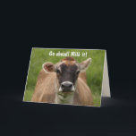 Tarjeta Funny Cow Birthday<br><div class="desc">Entretenida tarjeta de cumpleaños con una foto de una vaca de aspecto bossy. Haz que los mensajes sean tus propios, si quieres, y que te lo pases bien! Foto ©Christine Greenspan. Gráfico de globo de cumpleaños con licencia.</div>