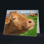 Tarjeta Funny Cow Happy 60th Birthday Card<br><div class="desc">¡Este diseño presenta una imagen graciosa de una vaca! Ideal para ocasiones especiales como cumpleaños,  aniversarios y más. Si desea personalizar el diseño cambiando el mensaje,  la edad o el tipo de letra,  haga clic en "Editar diseño".</div>