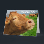 Tarjeta Funny Cow Happy 60th Birthday Card<br><div class="desc">¡Este diseño presenta una imagen graciosa de una vaca! Ideal para ocasiones especiales como cumpleaños,  aniversarios y más. Si desea personalizar el diseño cambiando el mensaje,  la edad o el tipo de letra,  haga clic en "Editar diseño".</div>
