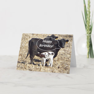 Tarjeta Funny Cow Happy Birday Card