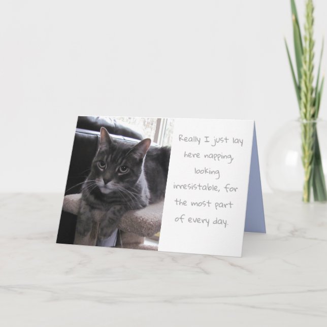Tarjeta Funny Cute Cat Birday (Anverso)