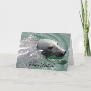 Tarjeta Funny Cute Seal Happy Birday Card