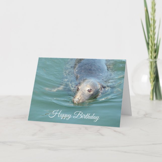 Tarjeta Funny Cute Seal Happy Birday Card (Anverso)