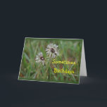 Tarjeta Funny Dandelion Birthday - change for any occasion<br><div class="desc">Rub it in on someone having another birthday with this humorous card. Or send cheer for a get well, and other occasion where humor is needed or fun. Change the words on the front and inside for any occasion or to personalize as you wish. Go to my ASSORTED FLOWER SECTION...</div>