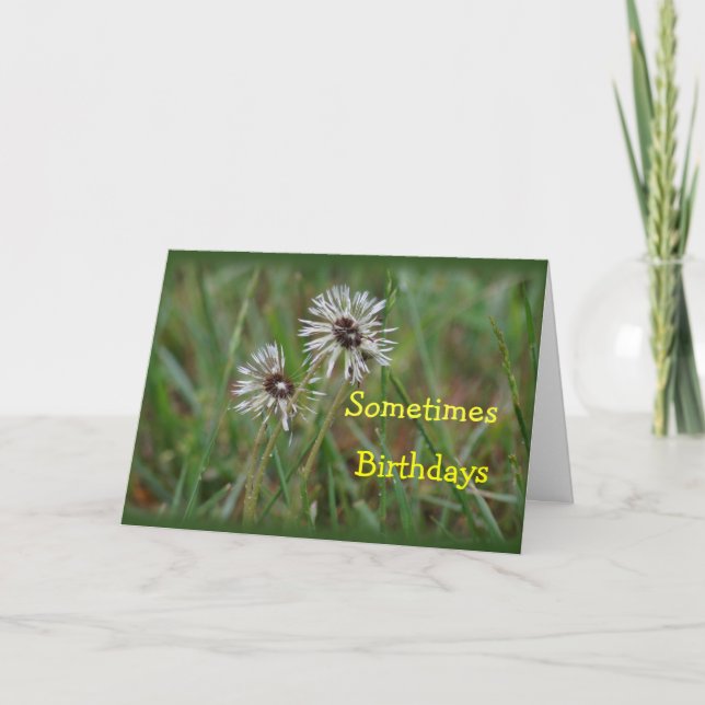 Tarjeta Funny Dandelion Birthday - change for any occasion (Anverso)