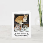 Tarjeta Funny De Cat Dog Mascota 3 Foto Script Cumpleaños<br><div class="desc">Dé esta tarjeta de cumpleaños a las mamás del gato, papás del gato y amantes del gato en tu vida, con tres fotos de tus gatos sobre un fondo blanco en la portada, así como el texto del guión: De los gatos en tu cumpleaños, decoradas con pequeñas huellas de pata...</div>