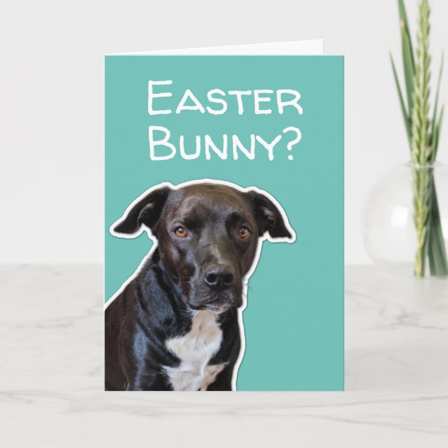 Tarjeta Funny Dog Aovers Easter Bunny Card (Anverso)