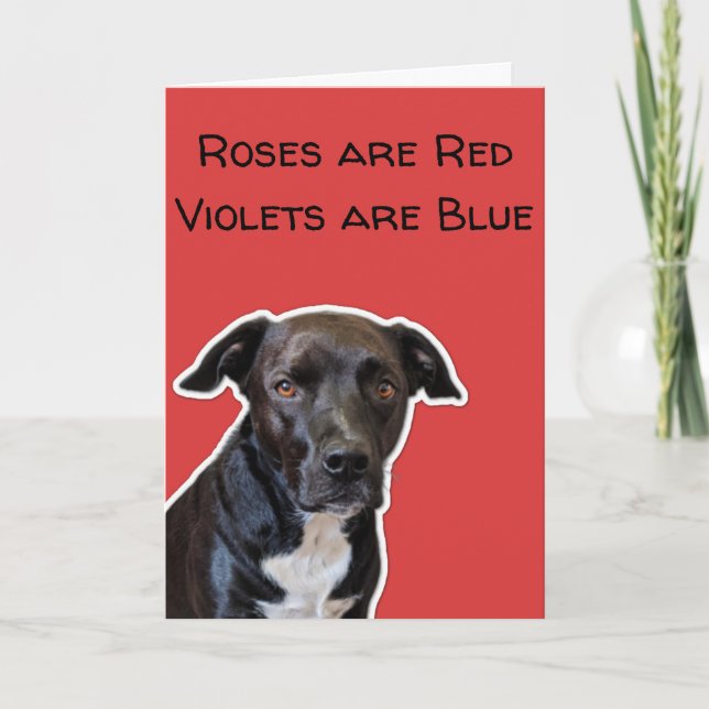 Tarjeta Funny Dog Aovers El día de San Valentín Card (Anverso)