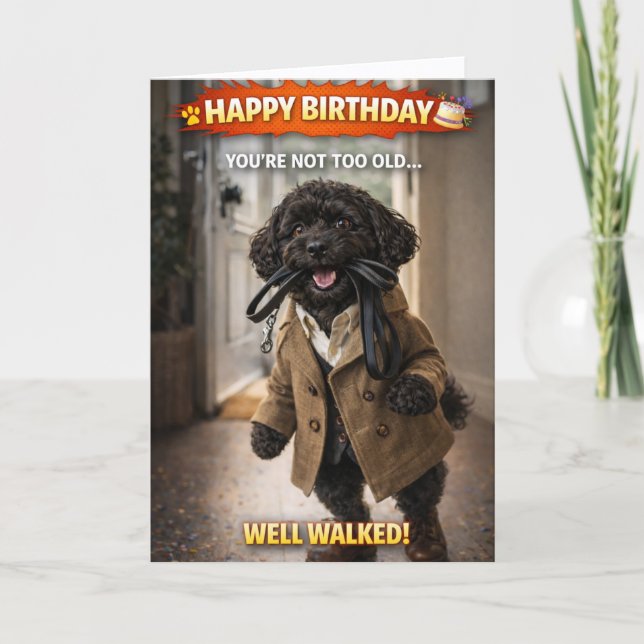 Tarjeta Funny Dog Birthday Card Well Walked Cockapoo (Anverso)
