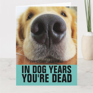 TARJETA FUNNY DOG BIRTHDAY DOG GREETING CARDS