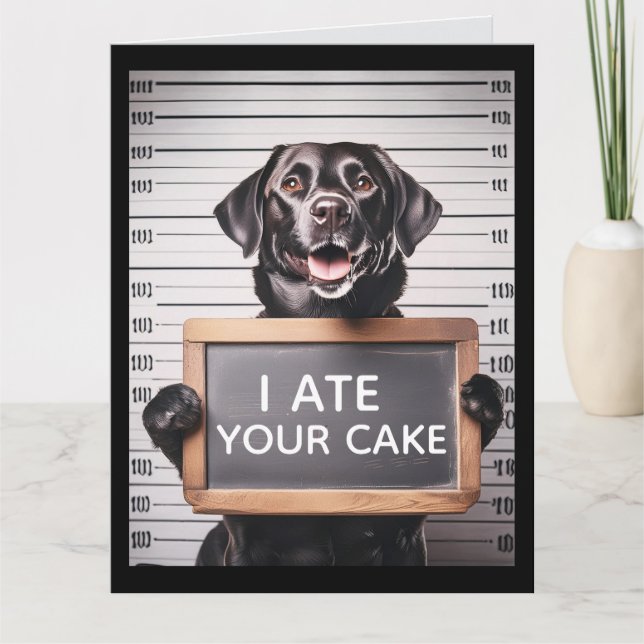 TARJETA FUNNY DOG BRTHDAY MUGSHOT GREETING CARD (Anverso)