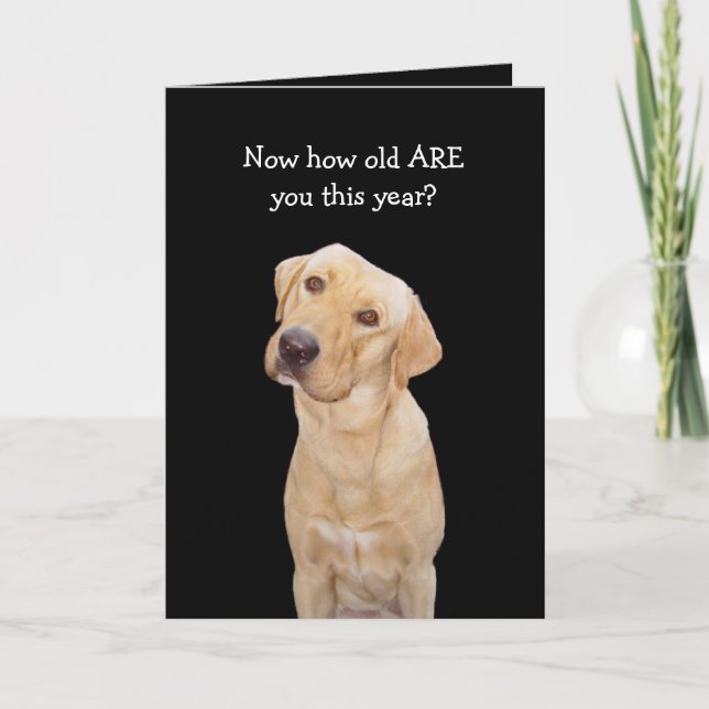 Tarjeta Funny Dog/Lab Cumpleaños (Anverso)