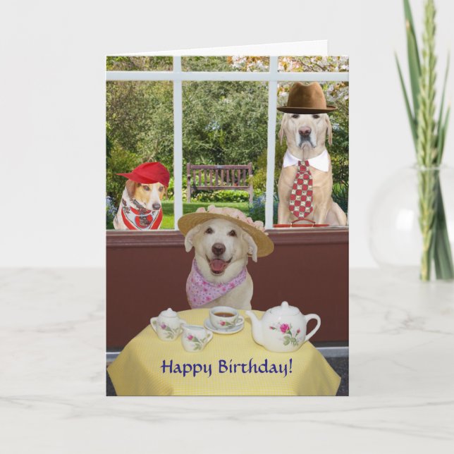 Tarjeta Funny Dogs/Labs Female Birthday (Anverso)