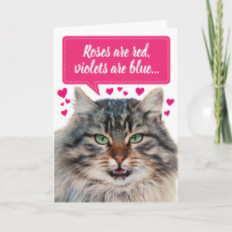 Tarjeta Funny El día de San Valentín Maine Coon Cat Person