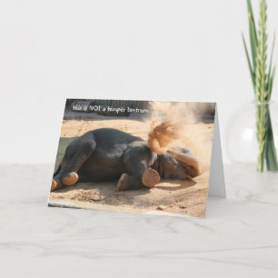 Tarjeta Funny Elephant Belthday Card