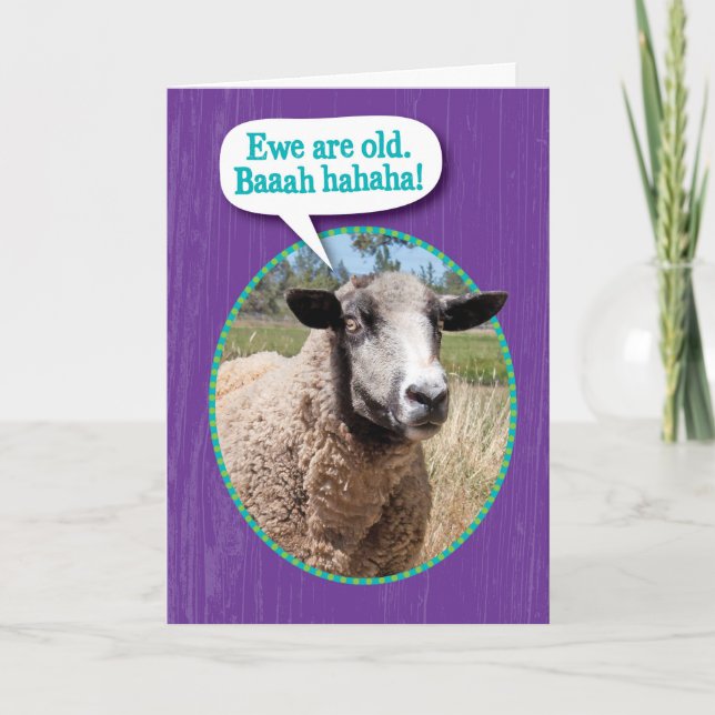 Tarjeta Funny Ewe Old Sheep Shot Cumpleaños (Anverso)