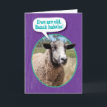 Tarjeta Funny Ewe Old Sheep Shot Cumpleaños<br><div class="desc">Cuando una oveja dice: "Somos viejos. ¡Baaa jajaja!" se podría considerar una "toma de ovejas",  pero Ewe sólo puede reír. Sobre todo cuando es por el cumpleaños de alguien más. Las únicas "raciones de carnero" son,  te volverán a la casa en tu cumpleaños. :)</div>