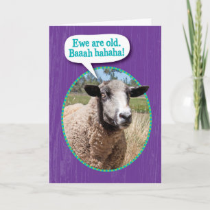 Tarjeta Funny Ewe Old Sheep Shot Cumpleaños