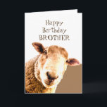 Tarjeta Funny Feliz cumpleaños Ewe are BEST BROTHER ever<br><div class="desc">El HERMANO del cumpleaños feliz de ovejas Ewe es el mejor HERMANO de la historia</div>