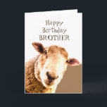 Tarjeta Funny Feliz cumpleaños Ewe are BEST BROTHER ever<br><div class="desc">El HERMANO del cumpleaños feliz de ovejas Ewe es el mejor HERMANO de la historia</div>