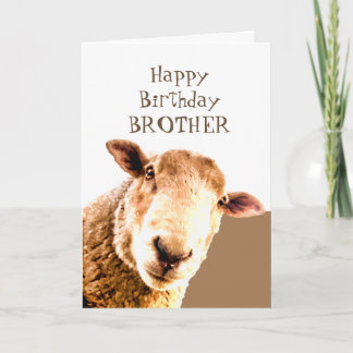 Tarjeta Funny Feliz cumpleaños Ewe are BEST BROTHER ever