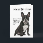 Tarjeta Funny Frenchie Birthday Card<br><div class="desc">Esta graciosa tarjeta de cumpleaños de Bulldog francés no es sólo para los amantes de Francia.</div>