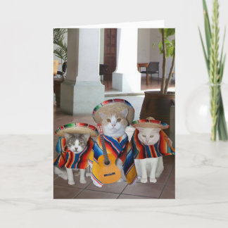 Tarjeta Funny Gats Cumpleaños Español para cualquiera