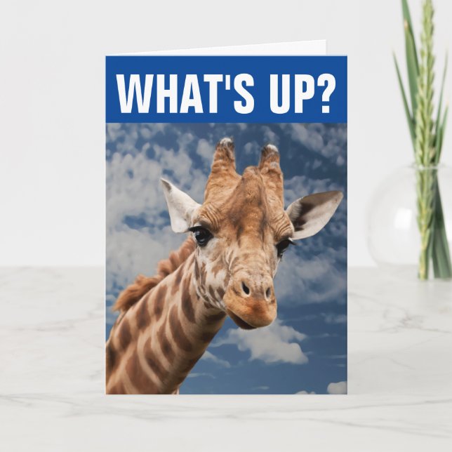 TARJETA FUNNY GIRAFFE GREETING CARD PARA DECIR HOLA (Anverso)