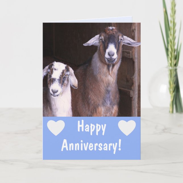 Tarjeta Funny Goat Aniversario (Anverso)