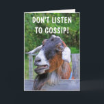 Tarjeta Funny Goat Gossip Cumpleaños<br><div class="desc">Eli está de vuelta con más de su famoso humor de cumpleaños!  Personaliza para hacer que la tarjeta sea tu propia y divertirte! Fotos ©Christine Greenspan</div>