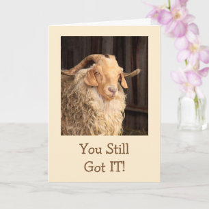 Tarjeta Funny Goat Handsome Devil Birday