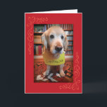 Tarjeta Funny Golden Retriever Culilty Pleasures Cumpleaño<br><div class="desc">Un Tirador de Oro,  atrapado en el acto de comer un libro,  hace un deseo de cumpleaños perfecto (de acuerdo con la última tendencia de avergonzar a los perros). Ningún perro resultó herido en la elaboración de esta tarjeta...  sólo un libro. Lo siento,  Moby Dick.</div>