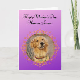 Tarjeta Funny Golden Retriever gobierna el Día de la Madre