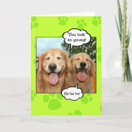 Tarjeta Funny Golden Retriever Golden Oldie Birthday