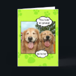 Tarjeta Funny Golden Retriever Golden Oldie Birthday<br><div class="desc">Esta divertida tarjeta de saludo muestra una fotografía de dos perros recuperadores de oro que se ríen. Las burbujas de voz dicen: "¡Te ves tan joven!" y "¡Ja ja ja!" mientras el texto interior dice "¡Feliz cumpleaños a un anciano dorado!"</div>