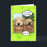 Tarjeta Funny Golden Retriever Golden Oldie Birthday<br><div class="desc">Esta divertida tarjeta de saludo muestra una fotografía de dos perros recuperadores de oro que se ríen. Las burbujas de voz dicen: "¡Te ves tan joven!" y "¡Ja ja ja!" mientras el texto interior dice "¡Feliz cumpleaños a un anciano dorado!"</div>