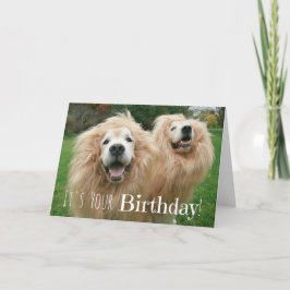 Tarjeta Funny Golden Retriever Lion Dogs Cumpleaños